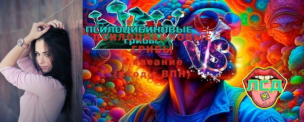 PSILOCYBIN Армянск