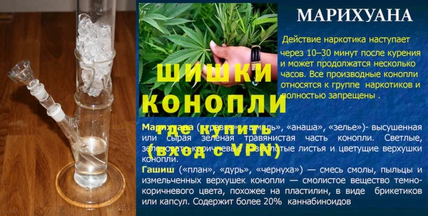 сатива Арсеньев