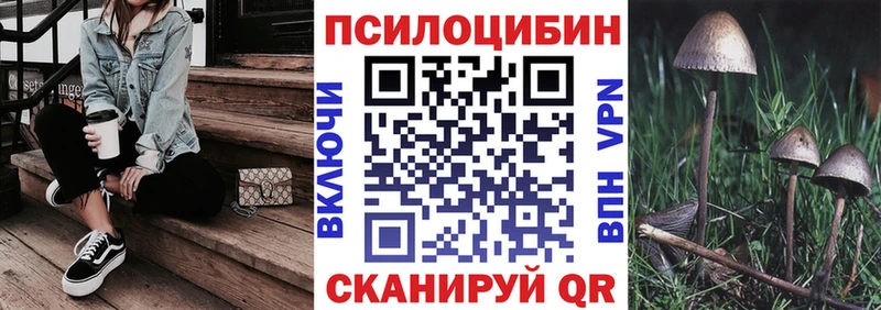 Псилоцибиновые грибы Psilocybe  Купить  Жиздра 